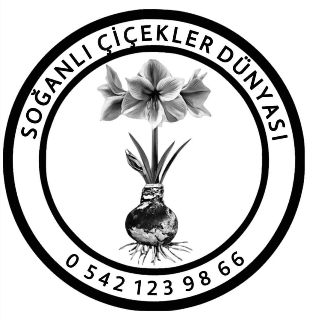 http://Demet%20Demet%20Çiçek